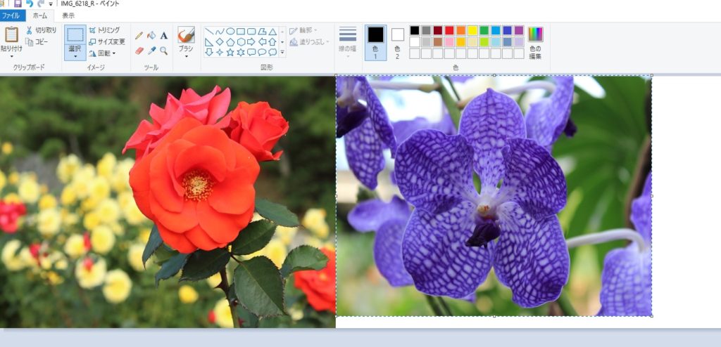 Windowsのペイントで２枚の画像を１枚の画像にする方法
