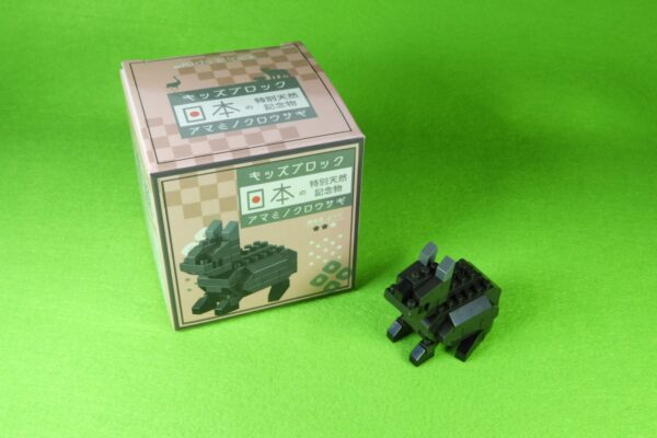 セリア★キッズブロック　特別天然記念物・アマミノクロウサギの作り方　※説明書あり